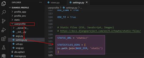 User Profile Display Project Using Python に対する画像結果