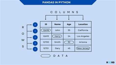 Image result for Pandas Library Python