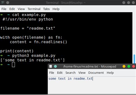 Afbeeldingsresultaten voor How to Read Text File in Python