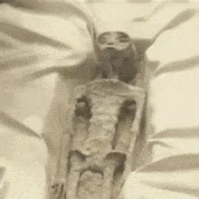 Image result for Alien Meme Animation