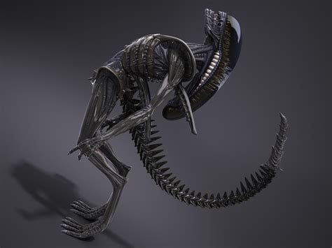 Image result for Alien Xenomorph Model