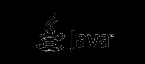 Image result for Java/Oracle Icon