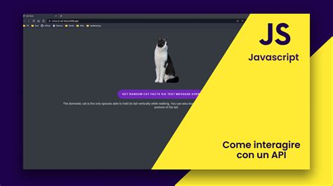 Image result for JavaScript API Deutsch
