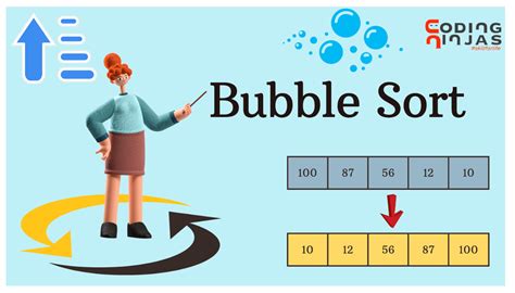 Image result for Bubble Sort Algorithm Java