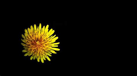 Image result for Pure JavaScript Table