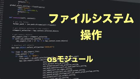 Python System Code に対する画像結果