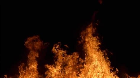 Image result for Fire Berning