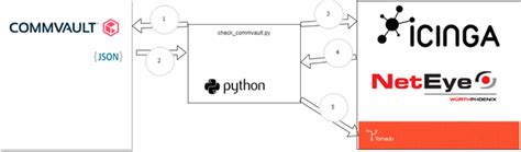 Image result for CommVault Python API
