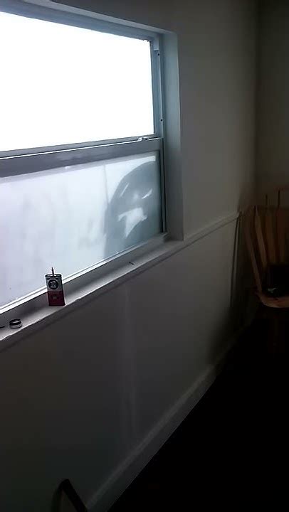 Toradh íomhá ar Alien Outside Window