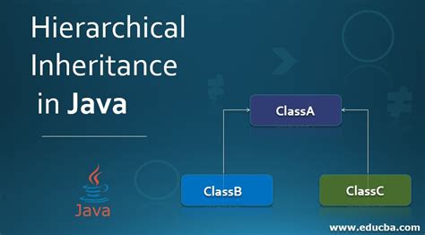 Image result for Java Inheritance Examples