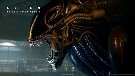 Image result for Alien Rogue