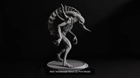 Image result for Alien Xenomorph Model