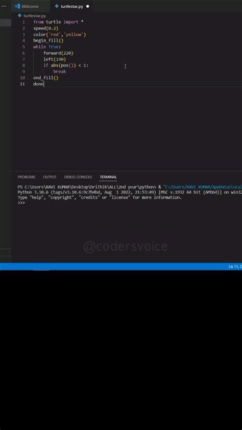 Image result for Python Turtle Drawing Code