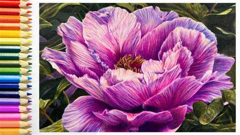 Afbeeldingsresultaten voor Flower Pencil Art Tutorials
