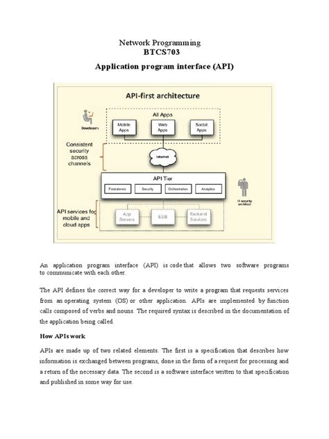 Application Program Interface Library Example に対する画像結果