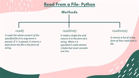 Image result for File Reader Python