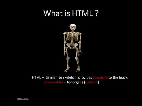 Image result for HTML CSS JavaScript Human Body Analogy