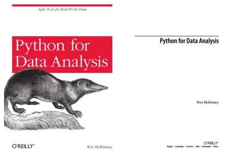 Toradh íomhá ar Python for Data Analysis PDF