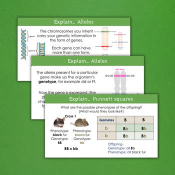 Image result for Genetic Inheritance Free Science Lessons