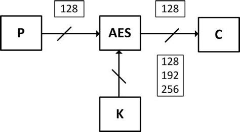 Image result for AES Algorithm Input Array