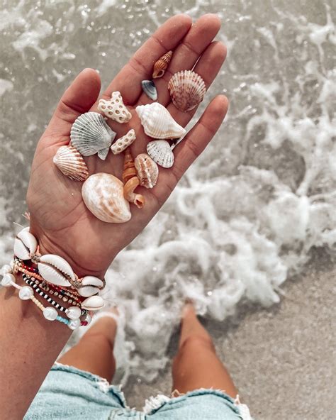 Coral springs – Artofit