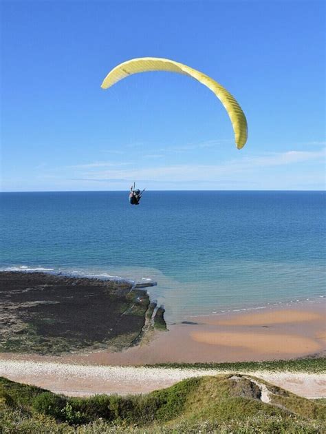 Image result for Soared