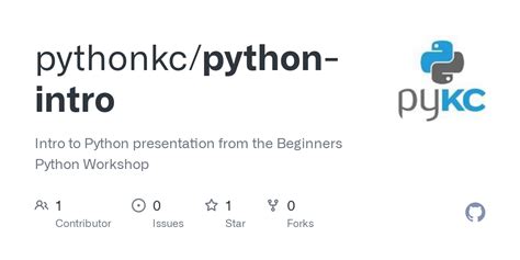 Python Intro Code に対する画像結果