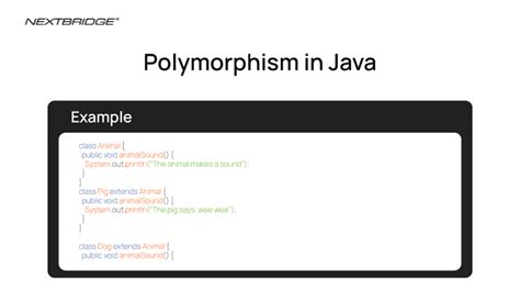 Image result for Polymorphism Java Example