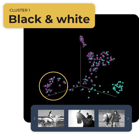 Image result for Computer Vision Classification Example