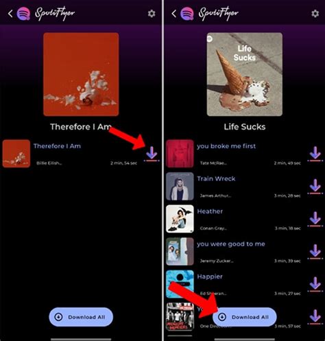 How to Use Spotiflyer に対する画像結果