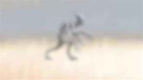 Alien Creatures On Camera に対する画像結果