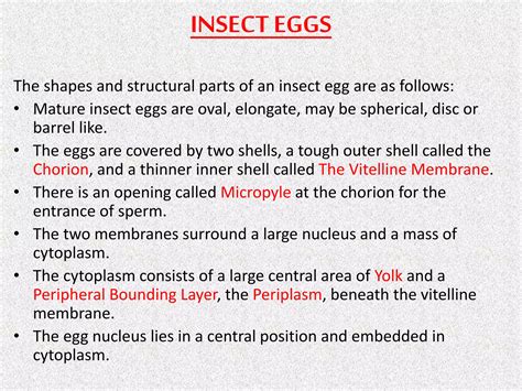 Image result for Development Insect