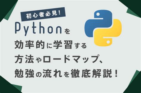 Learn Python Quick に対する画像結果