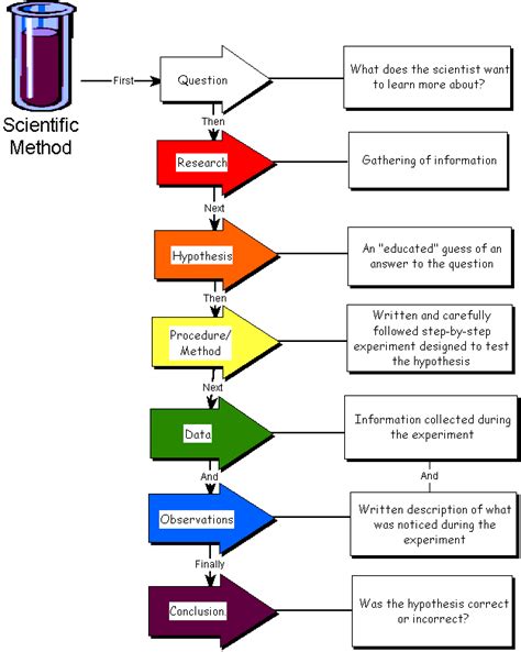 Image result for Basic Scientific Method