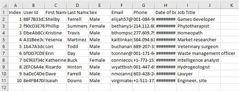 CSV Format Example に対する画像結果