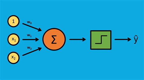 Image result for Basic Algorithm for Understanding Machine Learning