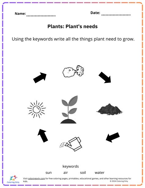 Afbeeldingsresultaten voor +Free Science Lessons.com