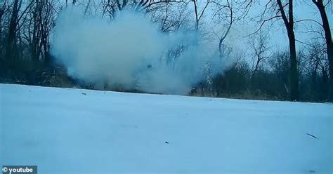 Image result for Explosive Tree Exploding