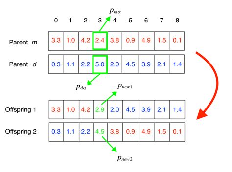 Image result for Genetic Algorithm Intro Python