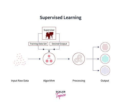 Image result for Machine Learning Algorithm Types