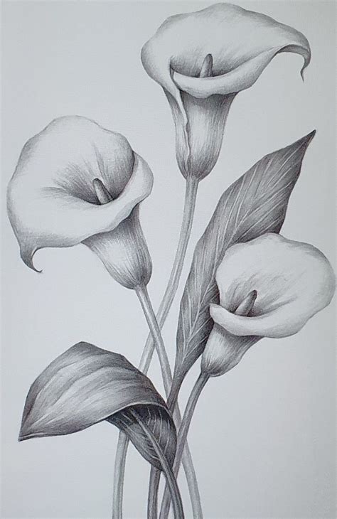 Afbeeldingsresultaten voor Flower Pencil Art Tutorials