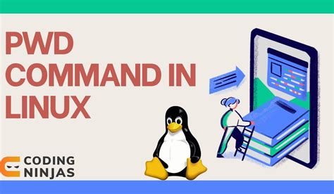 Image result for Pwd Command vs Code Python
