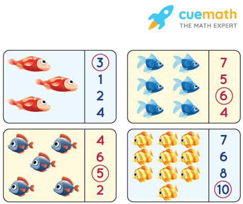 Image result for Classification Questions Examples