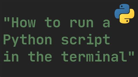 Image result for Run Python Script