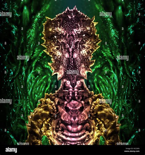 Alien Bug に対する画像結果