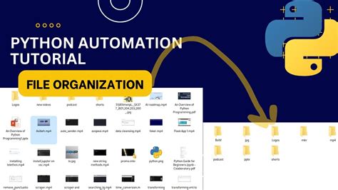 Python Scripts に対する画像結果