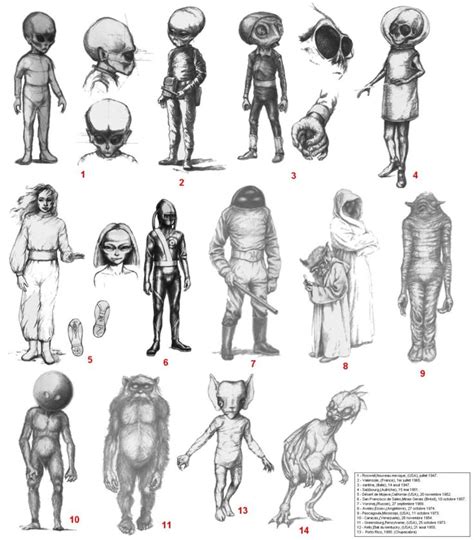Image result for Alien Types