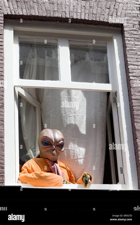 Image result for Alien Window