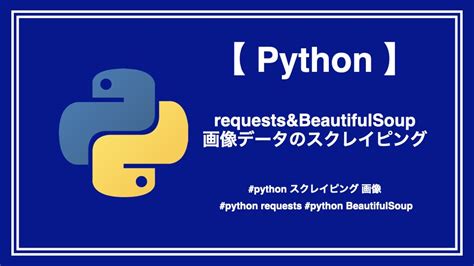 How to Write Python Code に対する画像結果