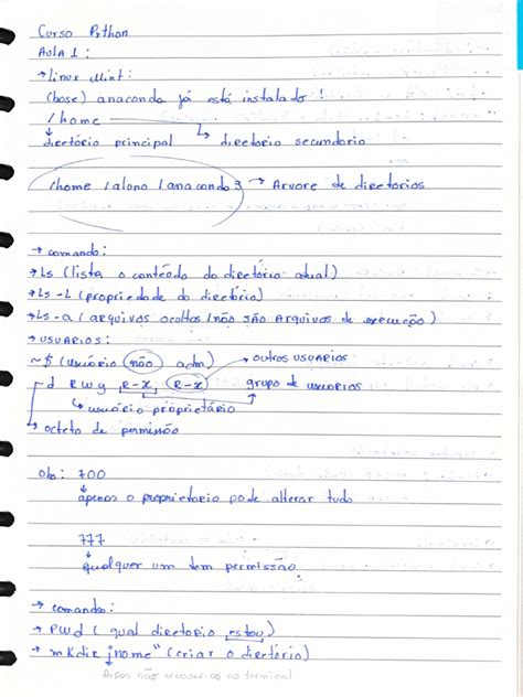 Toradh íomhá ar Curso Python PDF